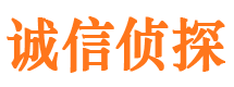 兴业市侦探调查公司